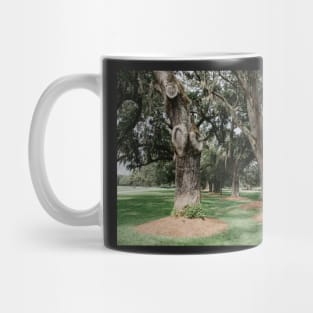 Avenue of the Oaks Mug